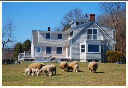Farm Stays at the Stonehaven Family Farm