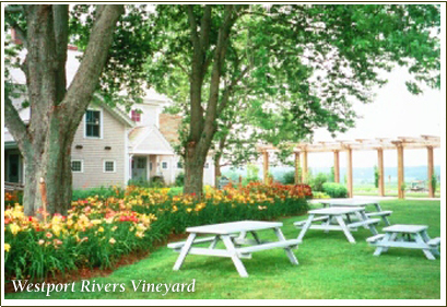 Nearby Attractions of the Stonehaven Family Farm